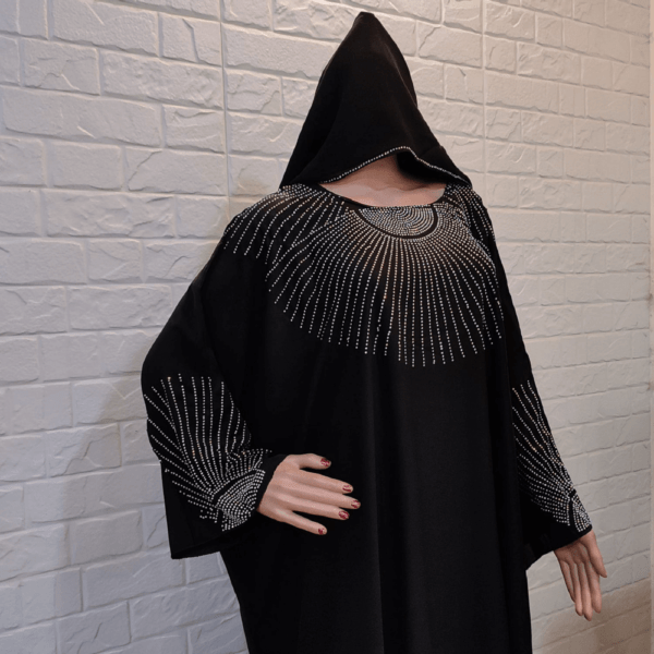 Dubai Modern Abaya Dress for Women (3)